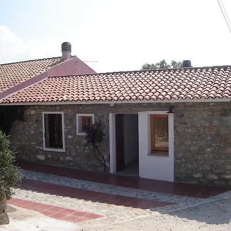 Asseliu